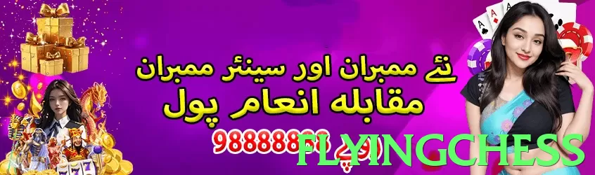 Flyingchess Pakistan - 3